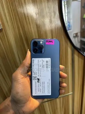 Apple iPhone 12 Pro Max 256 GB Blue