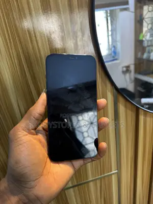 Apple iPhone 12 Pro Max 256 GB Blue