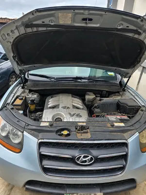 Hyundai Santa Fe 2007 Blue