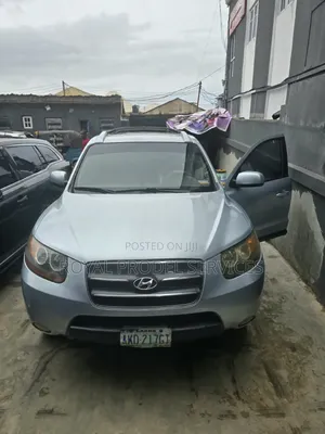 Hyundai Santa Fe 2007 Blue