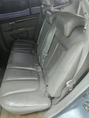Hyundai Santa Fe 2007 Blue