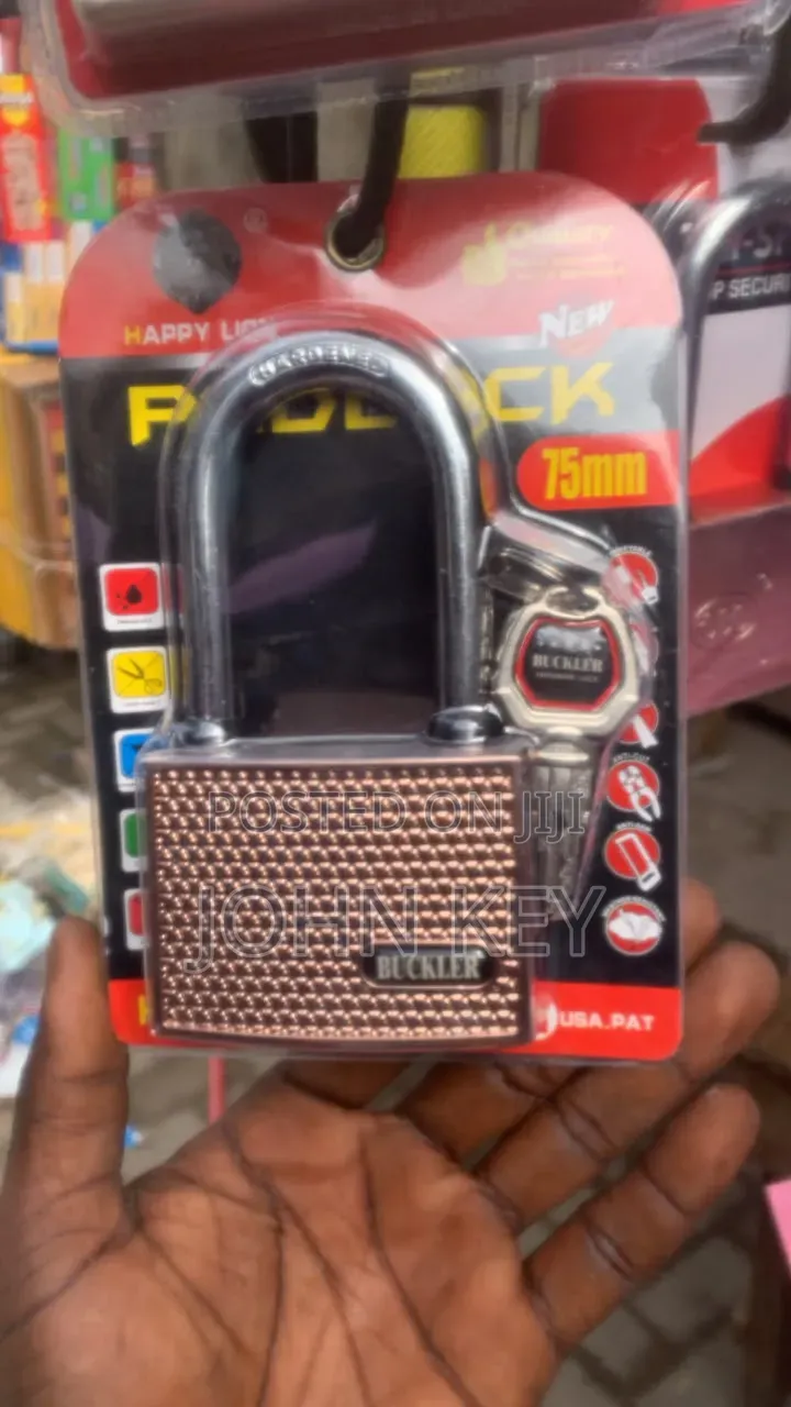 Happy Lion Padlock