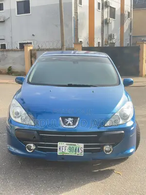 Peugeot 307 2007 Blue