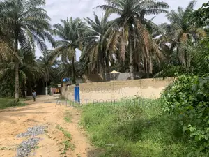 2 Plots of Land Behind Fara Park, Majek