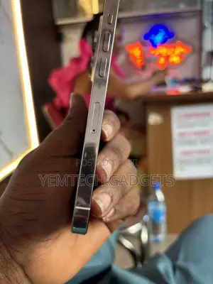 Apple iPhone 14 Pro 256 GB Silver