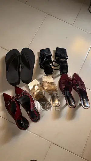 Female Heeled Shoe