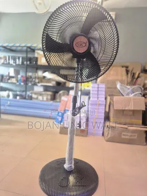Standing Fan