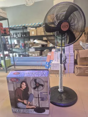 Standing Fan