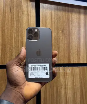 Apple iPhone 13 Pro Max 256 GB Graphite