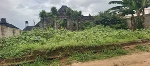 Land for Sell 50ft X 100dt in Ugbeyiyi