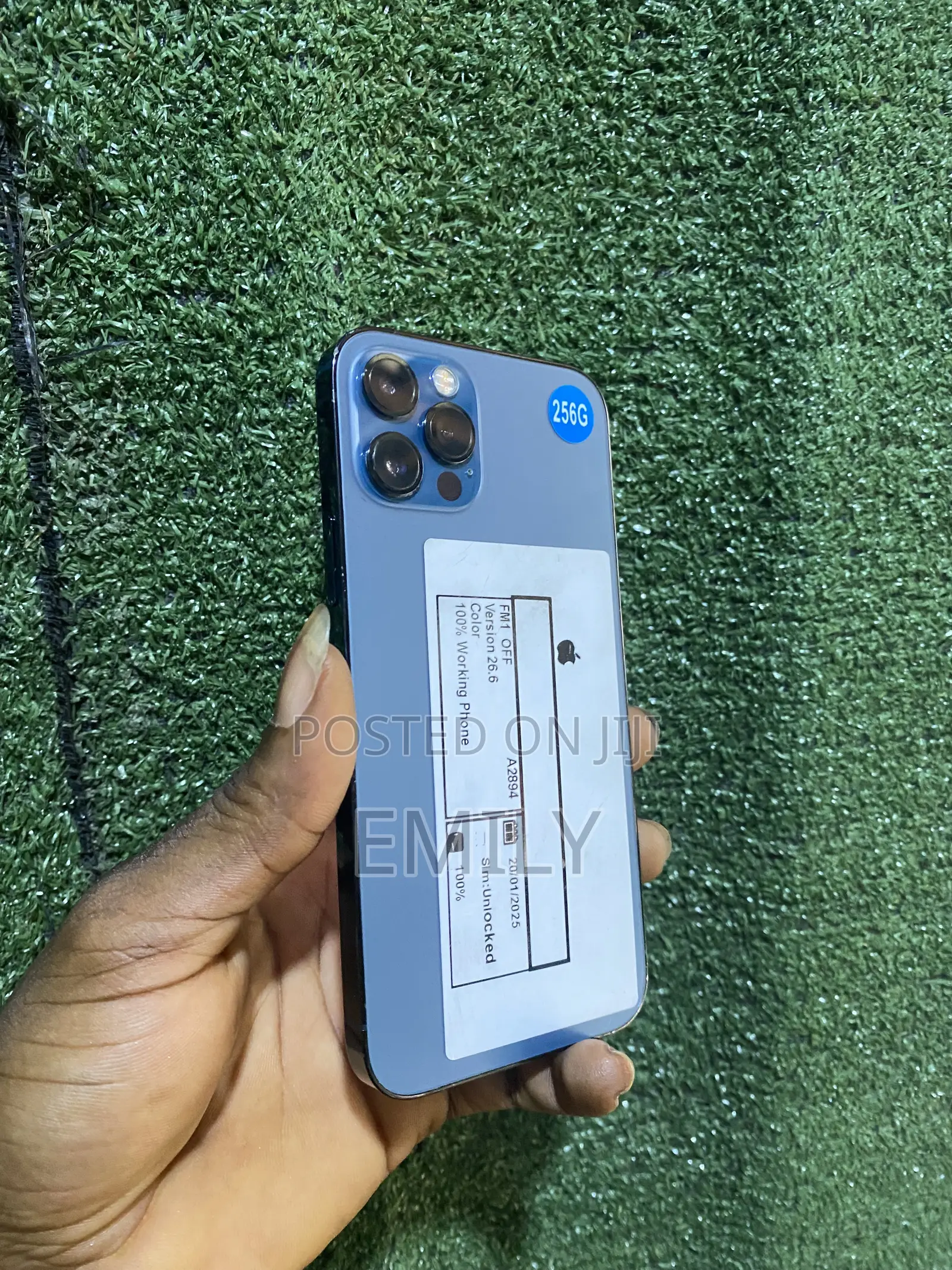 Apple iPhone 12 Pro 256 GB Blue