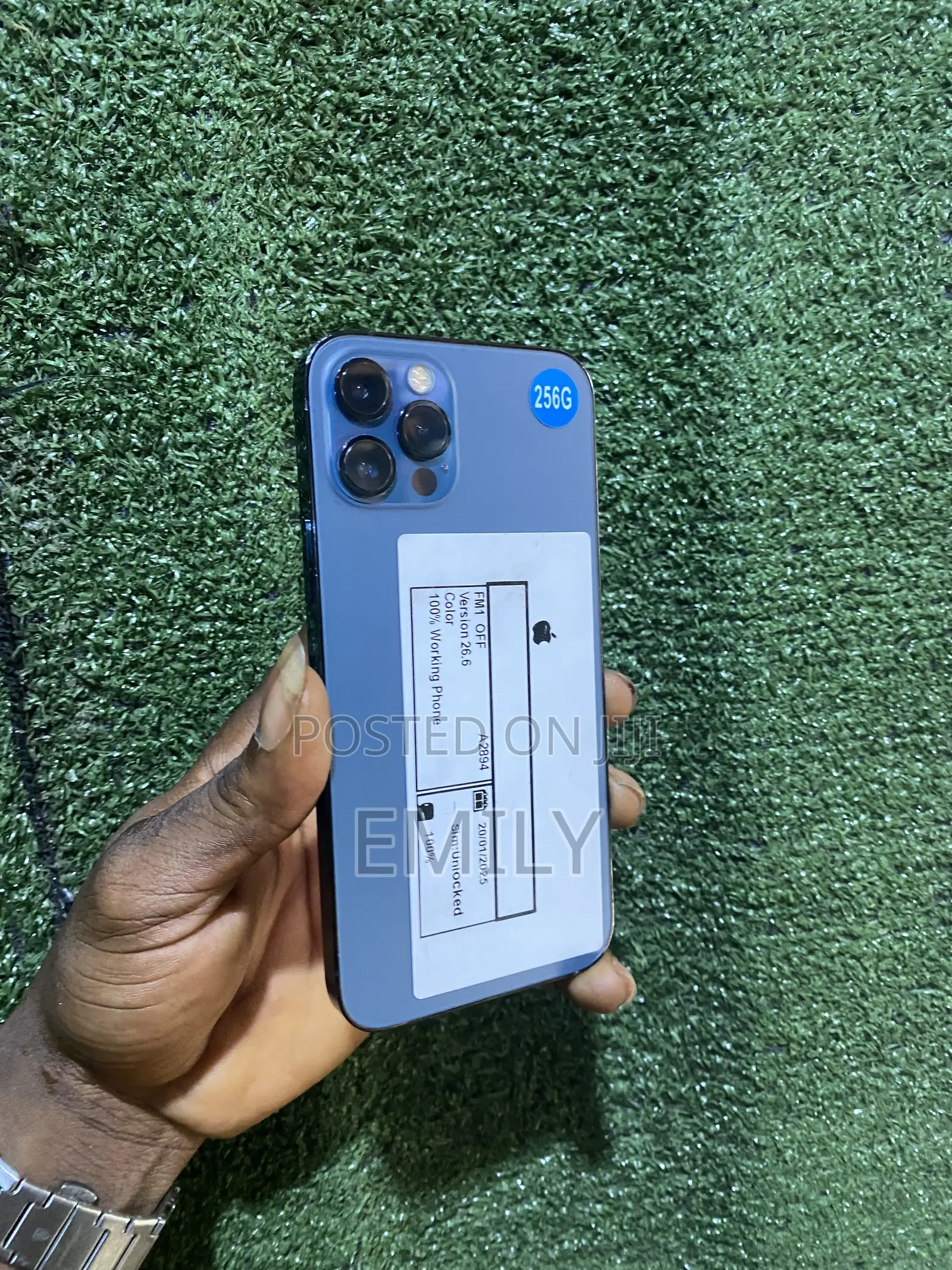 Apple iPhone 12 Pro 256 GB Blue