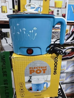 Electric Mini Cooker