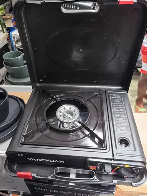 Single Box Automatic Gas Regulator With Extra Connector
