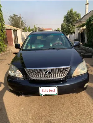 Lexus RX 330 2005 Blue
