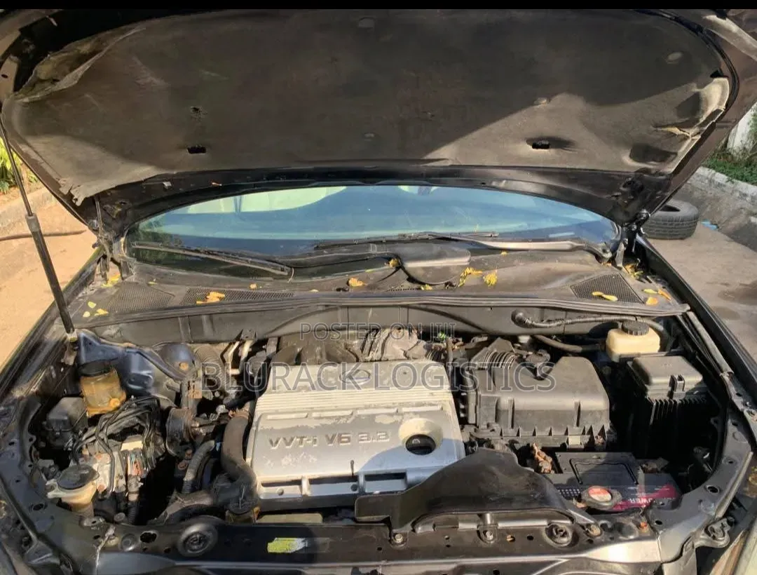 Lexus RX 330 2005 Blue