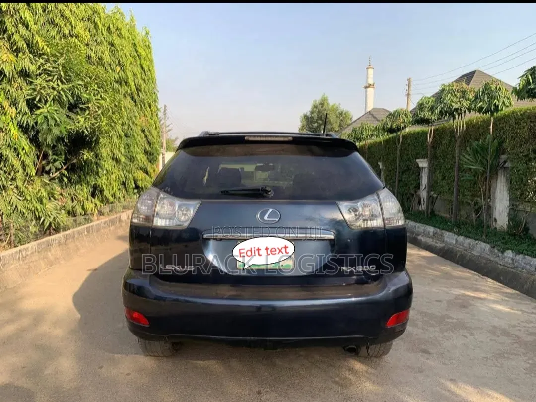 Lexus RX 330 2005 Blue