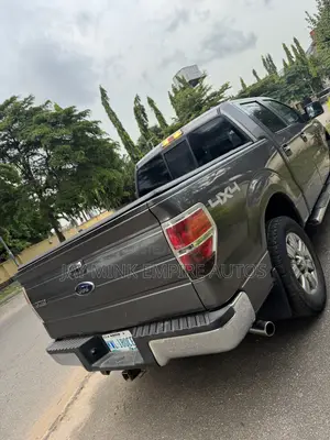 Ford F-150 2009 Gray