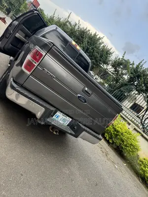 Ford F-150 2009 Gray