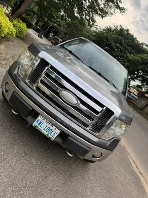 Ford F-150 2009 Gray