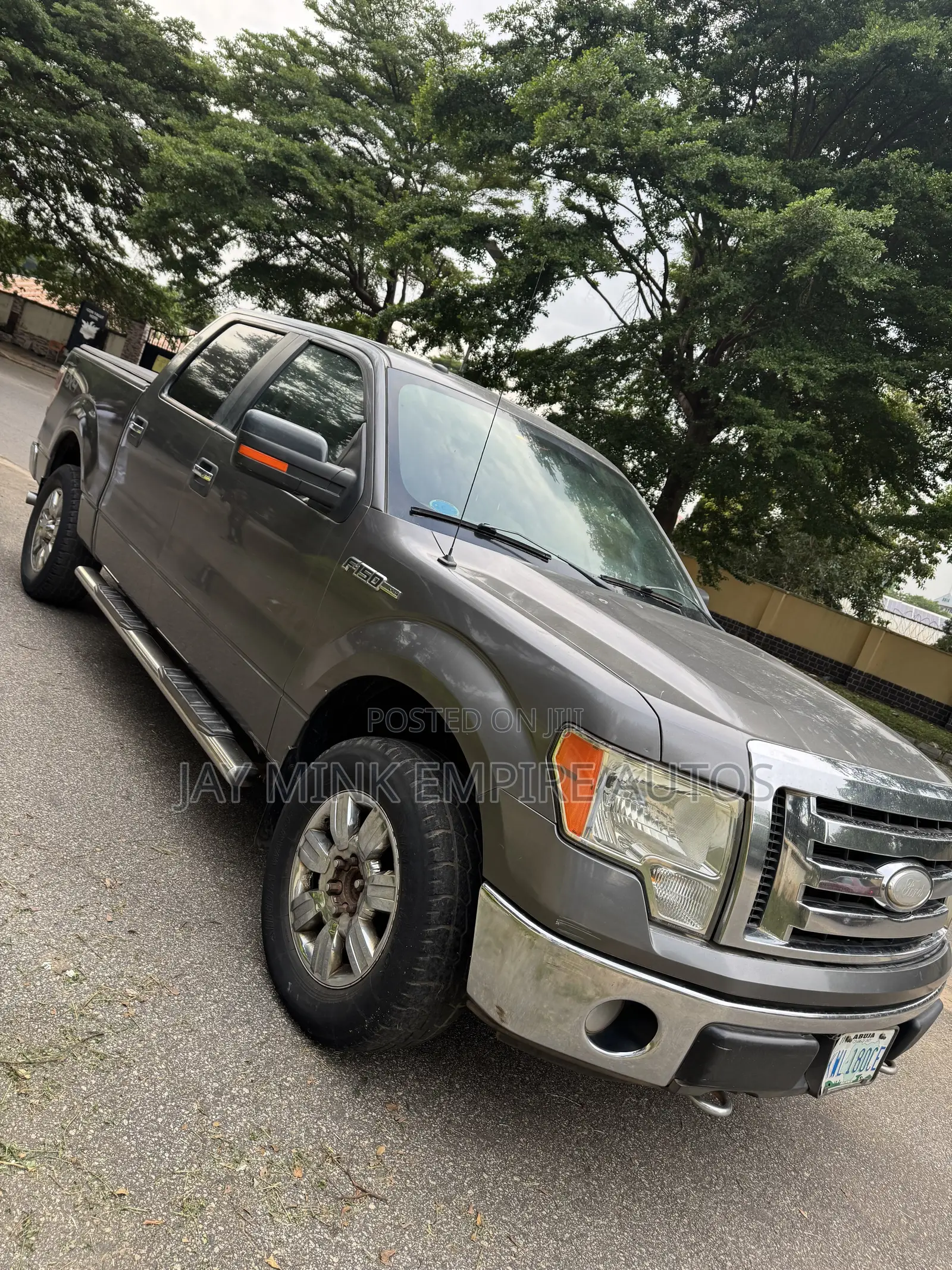 Ford F-150 2009 Gray