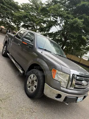 Ford F-150 2009 Gray