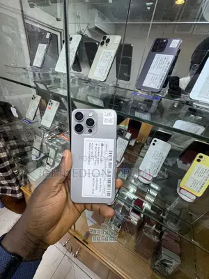 Apple iPhone 15 Pro Max 256 GB Silver