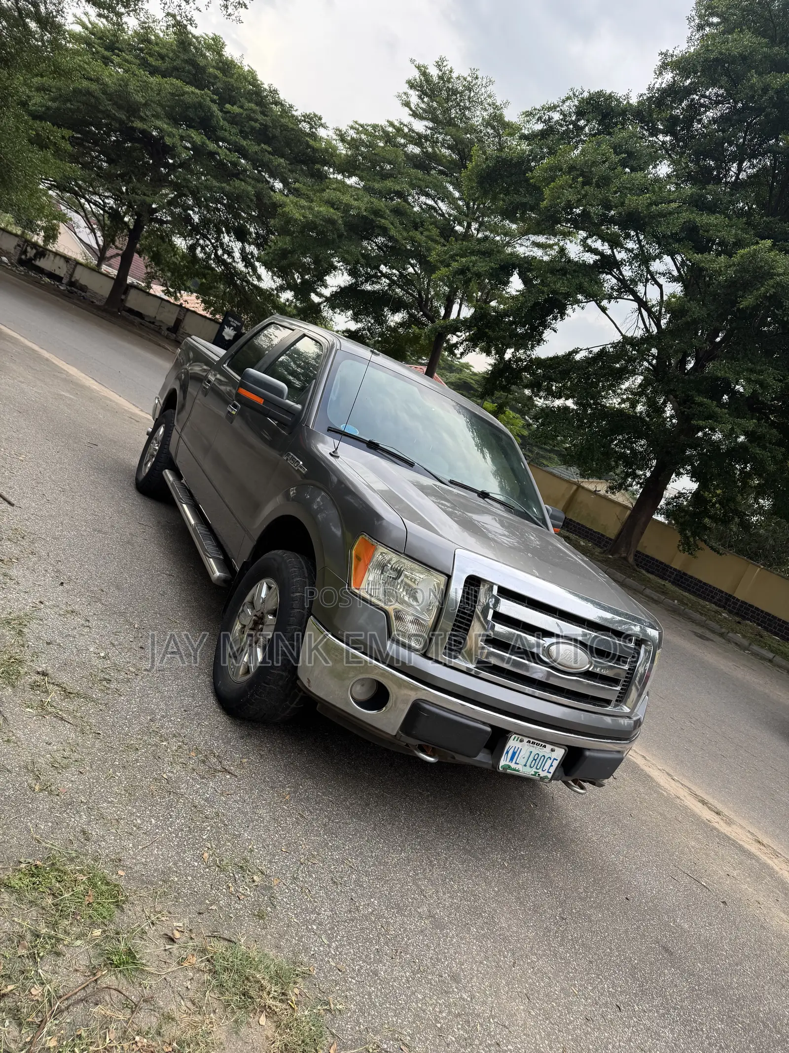 Ford F-150 2009 Gray