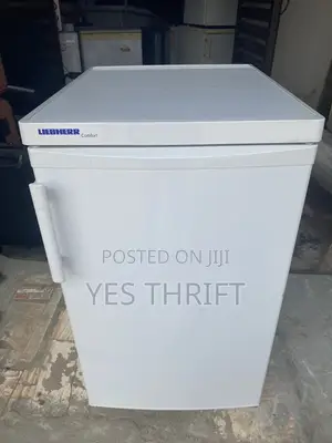 Refrigerator Standing