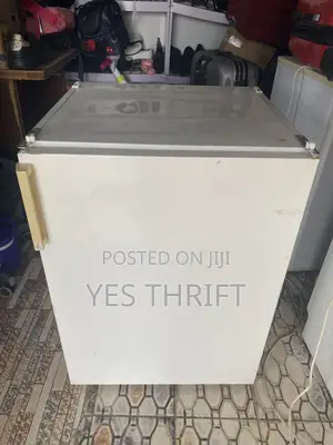 Refrigerator Standing