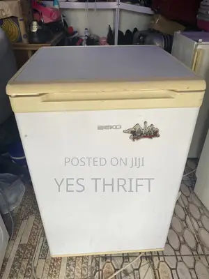 Refrigerator Standing