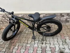 Mongoose Sport Health Big Tire Bicycle