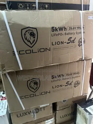5kwh 24V EcoLion Lithium Ion Battery