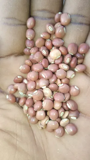 Pigeon Pea 1kg