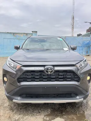 Toyota RAV4 XLE Premium FWD 2019 Gray
