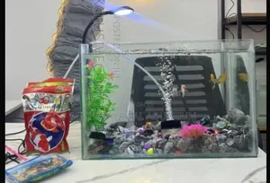 Aquarium Fish Tank