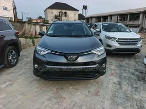 Toyota RAV4 XLE AWD (2.5L 4cyl 6A) 2017 Gray