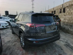Toyota RAV4 XLE AWD (2.5L 4cyl 6A) 2017 Gray