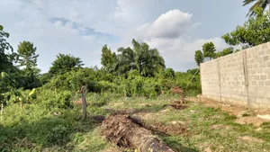 For Sale : Half (1⁄2) Plot at New Layout Elikpokpodu Rukpokwu Ph