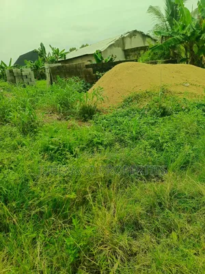 A Plot of Land at Arobieye After Winners Church