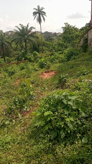 1 and Half Plots for Sale at Amenyi Awka