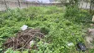 A Plot of Land at Alpha Grace Estate