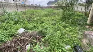 A Plot of Land at Alpha Grace Estate