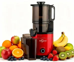 Slow Juicer