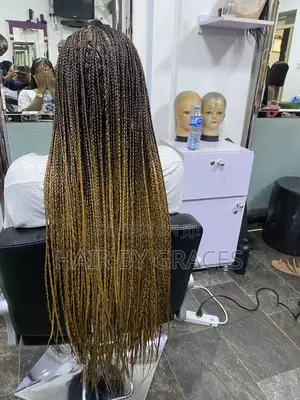 Knotless Braid