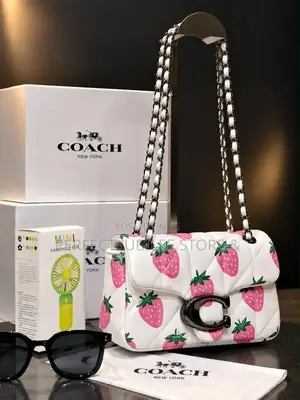 Caoch Tabby Bag