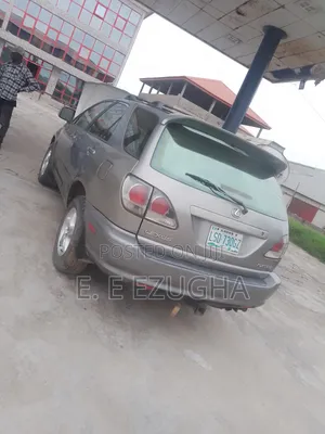 Lexus RX 2003 Gray