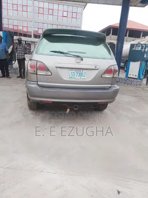 Lexus RX 2003 Gray