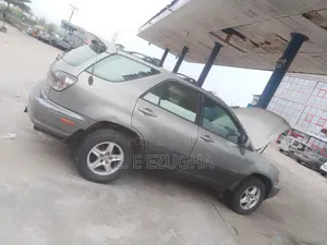 Lexus RX 2003 Gray