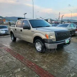 Ford F-150 SuperCrew 2008 Gold
